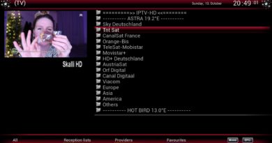 [SKIN] xmas-meets-skallihd-mod v1.03